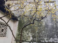 -拙政园