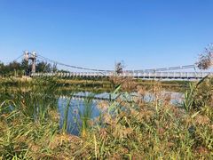 -西青郊野公园