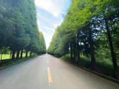 -山王坪喀斯特国家生态公园