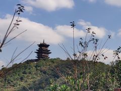 -杭州半山国家森林公园