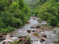 -广州白江湖森林公园