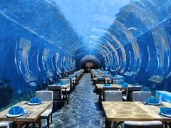 -涛·海底餐厅·美人鱼·自助餐·海底隧道(三亚海棠湾洲际度假酒店)