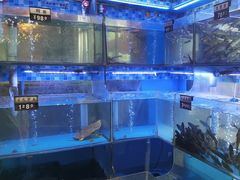 -一号渔港·宜昌肥鱼(东山店)