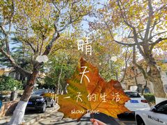 -八大关景区