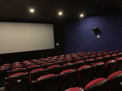 -大地影院(上海南汇店)