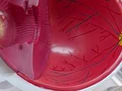 -武汉大学附属爱尔眼科医院(湖北总院)