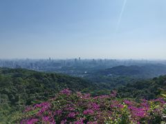-广州市白云山风景名胜区