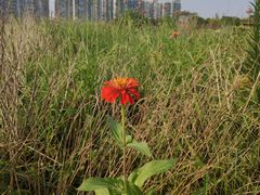 -白塘生态植物园