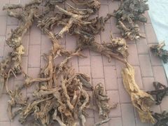 -李村大集