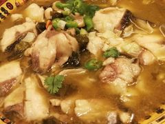 -佶政筋饼·新概念(安阳路店)