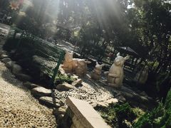 -贮水山儿童公园