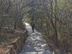 -大罗山风景区