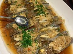 竹蛏王蒜蓉蒸-钱塘宴(东站西子国际店)