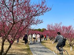 -长广溪湿地公园