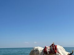 -青海湖二郎剑景区