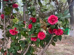 -江南大学(蠡湖校区)