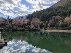 -蝴蝶泉公园