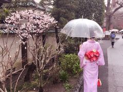 -东京浅草和服体验江户和装工房雅(浅草本店)