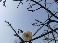 -碑林公园