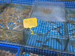 -滑记海鲜饭店·老字号(海鲜街店)