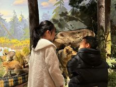 -陕西自然博物馆