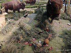 -陕西自然博物馆