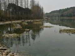 -新江湾城公园
