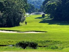 -罗浮山嘉宝田森林温泉度假酒店