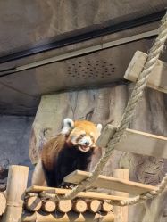 点击看大图 -Zoolung Zoolung动物主题公园(海信广场店)