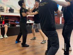 -温鉴良实用咏春拳