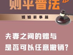 -则平律师服务团队·婚姻家事·法律服务