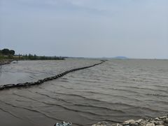 -巢湖姥山岛
