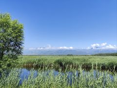 -野鸭湖国家湿地公园