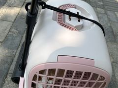 -芭比堂宠物医院·全科爱猫医院·仁德分院