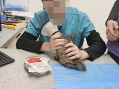 -萌兽医馆·绝育·24小时内科·宠物医院(德胜店)