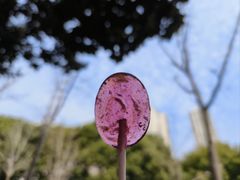 -苏州河梦清园环保主题公园