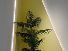 -J-Optical佳视明眼镜·蔡司视觉(青岛金茂览秀城店)
