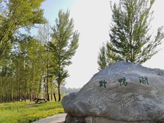 -野鸭湖国家湿地公园