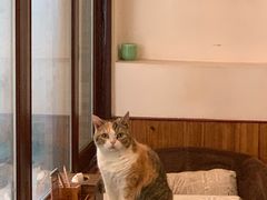 -隅cafe(傅厚岗店)