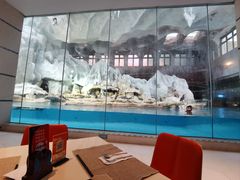 -帝企鹅自助餐厅•儿童岛•真企鹅(长隆企鹅酒店)