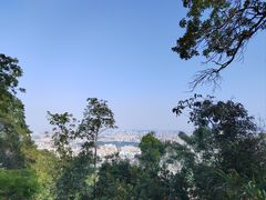 -阳台山森林公园