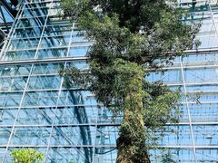 -南山植物园