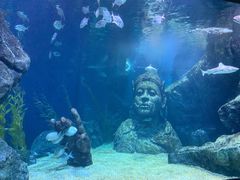 -暹罗海洋世界