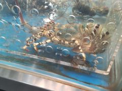 -盒马鲜生(莱蒙都会店)
