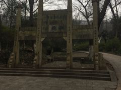 -镇江市南山风景名胜区竹林景区