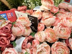 -宜家家居(高新商场店)