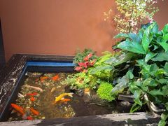 -隐炉和牛烧肉店(群力店)