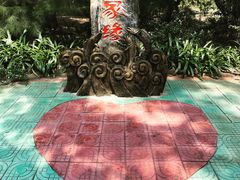 -北海金海湾红树林生态旅游区