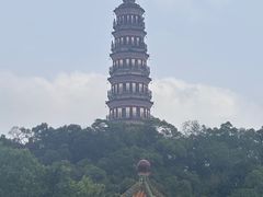 -顺峰山公园