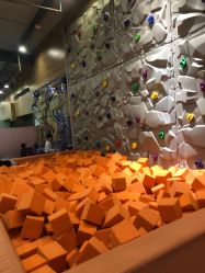 -泡泡米POPOME益智乐园(洪殿花园旗舰店)